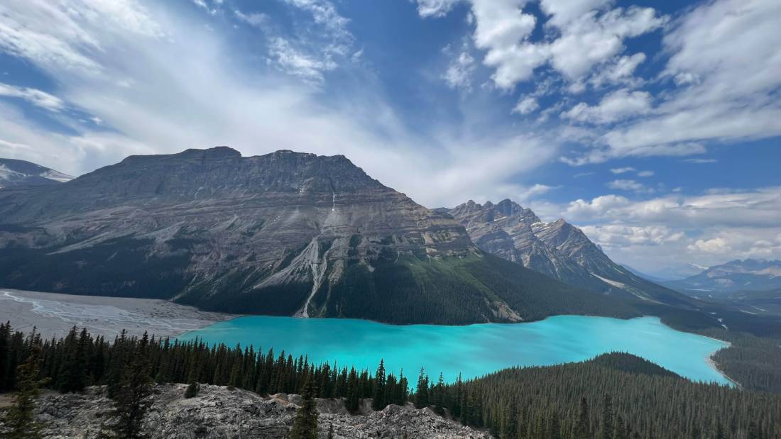 Gorgeous view from the Peyto Lake lookout | <i>Kalaya Mckenzie</i>