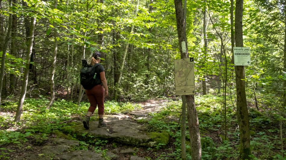 Hiking through Lions' Head forest | <i>Élise Arsenault</i>