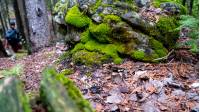 Exploring the rich flora and fauna along the Bruce Trail | <i>Elise Arsenault</i>