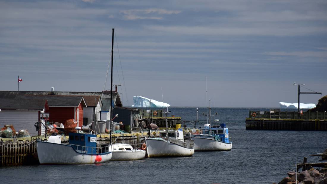 Watching icebergs passing at Petty Harbour | <i>Nathalie Gauthier</i>