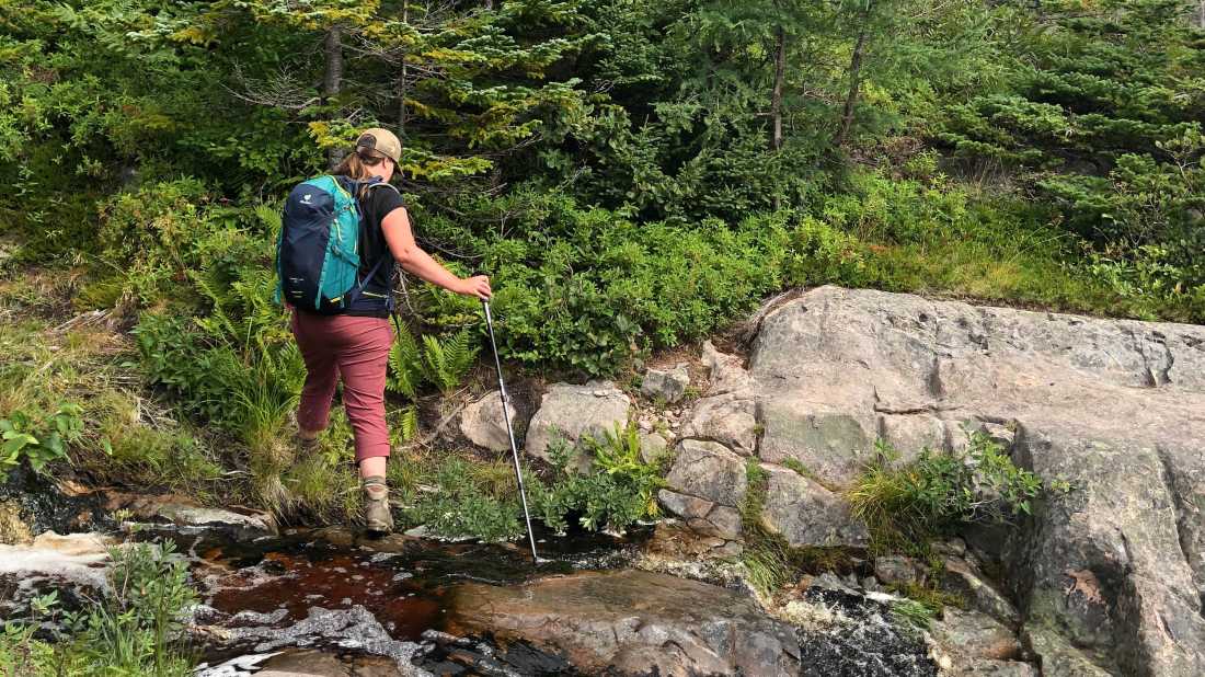 Hiking poles really help on slippery terrain along the trail | Julie Demers