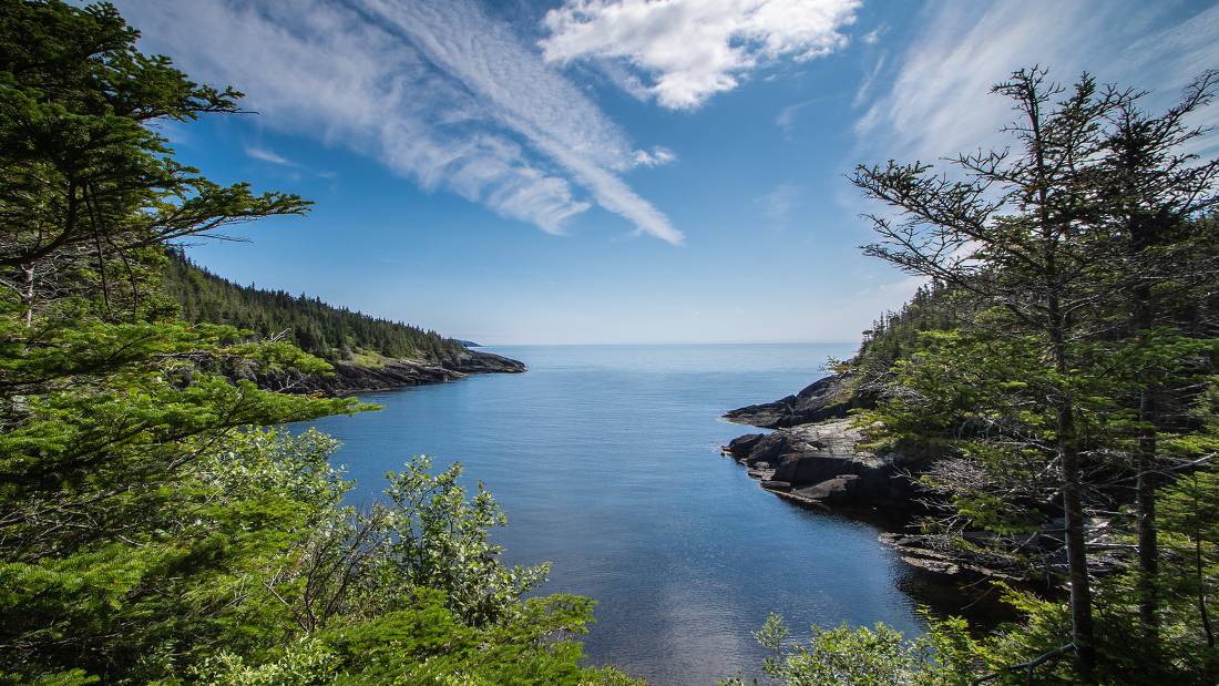 A wilderness path along Newfoundlan’s Avalon Peninsula | <i>Sherry Ott</i>