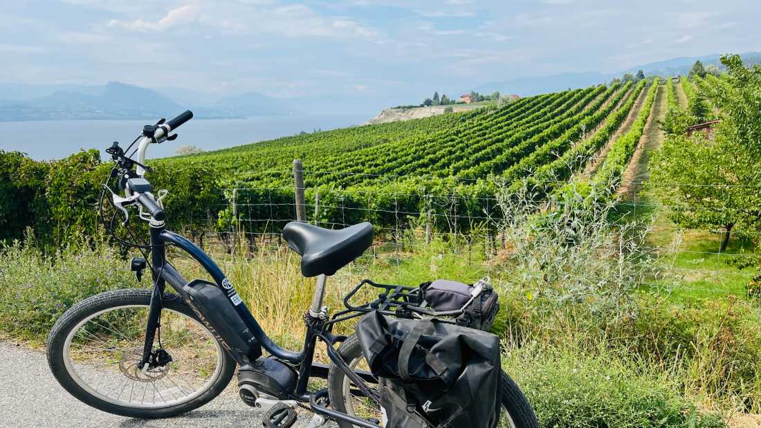Biking on the Kettle Valley Rail Trail through orchards and vineyards | Robin Esrock