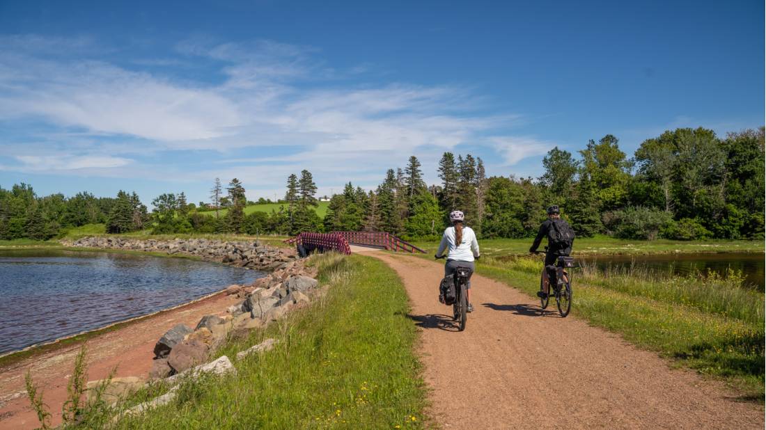 Cycle along the shore of St. Peters Bay on the Confederation Trail | <i>Sherry Ott</i>