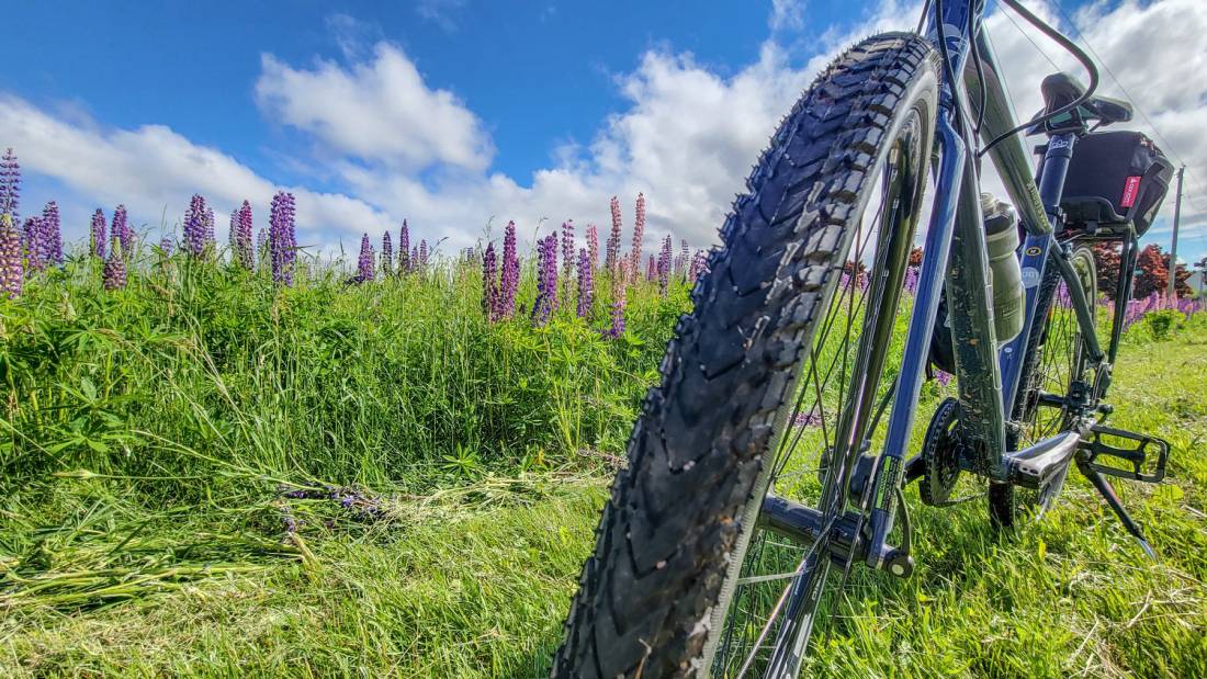 Hybrid bikes are ideal for the mixed terrain from the Confederation Trail to the Gulf Shore Way | <i>Sherry Ott</i>
