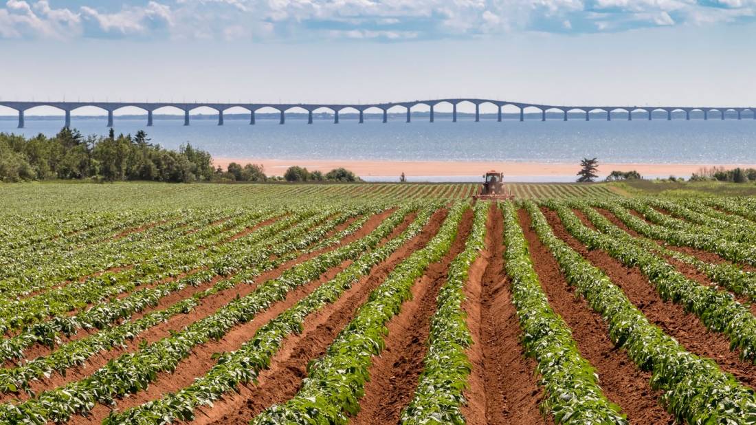 Confederation Bridge, Prince Edward Island | <i>Tourism PEI/Stclair Macaulay</i>