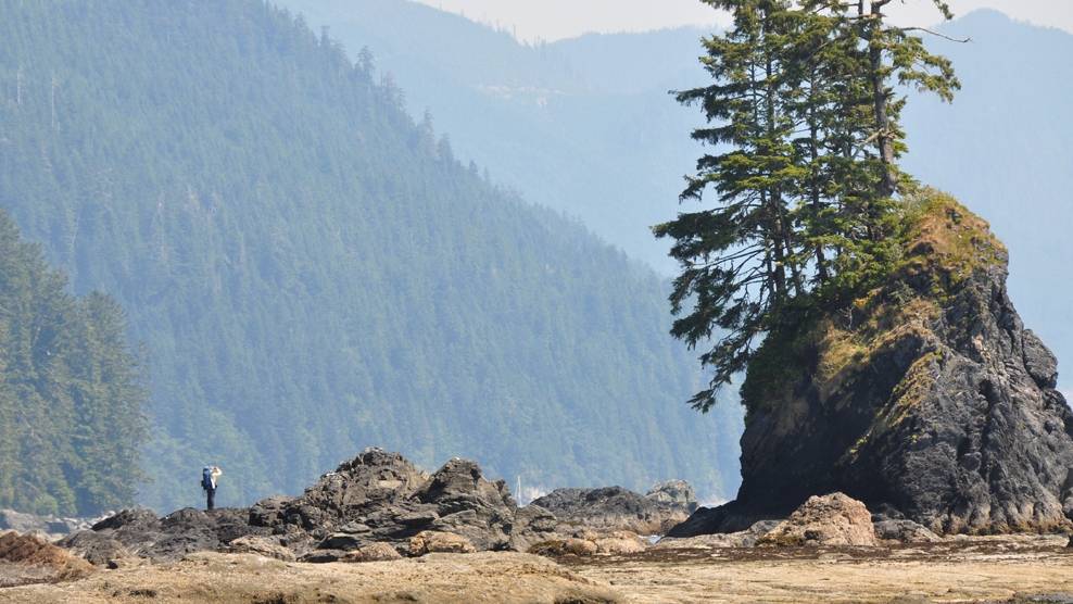 Otherworldly scenery on the West Coast Trail | <i>Kelly Kurtz</i>